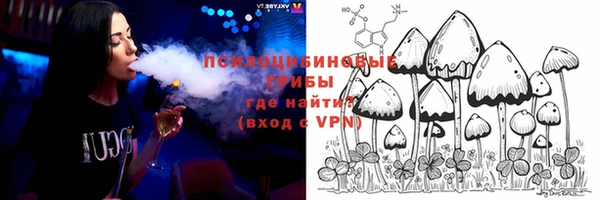 mdpv Каменск-Шахтинский
