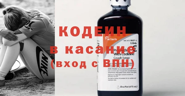 ПСИЛОЦИБИНОВЫЕ ГРИБЫ Каменка