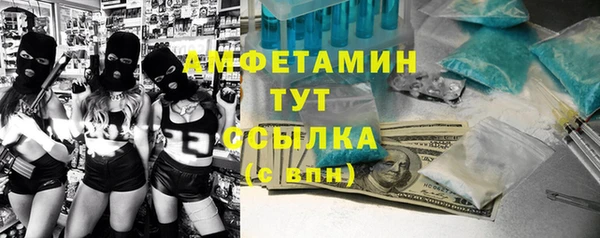 ПСИЛОЦИБИНОВЫЕ ГРИБЫ Каменка