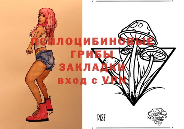 ПСИЛОЦИБИНОВЫЕ ГРИБЫ Каменка