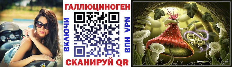 Купить где  Ветлуга  Галлюциногенные грибы Psilocybine cubensis 